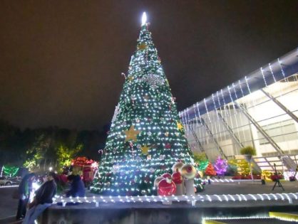 FGE asiste al evento de encendido del árbol y luces navideñas del DIF Estatal