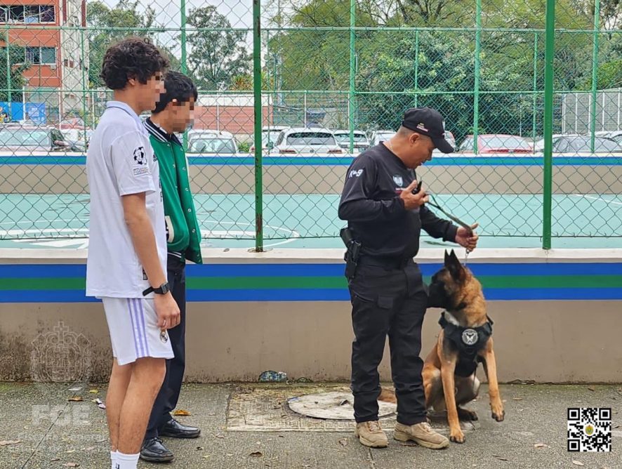 UECS realiza concientización sobre maltrato animal