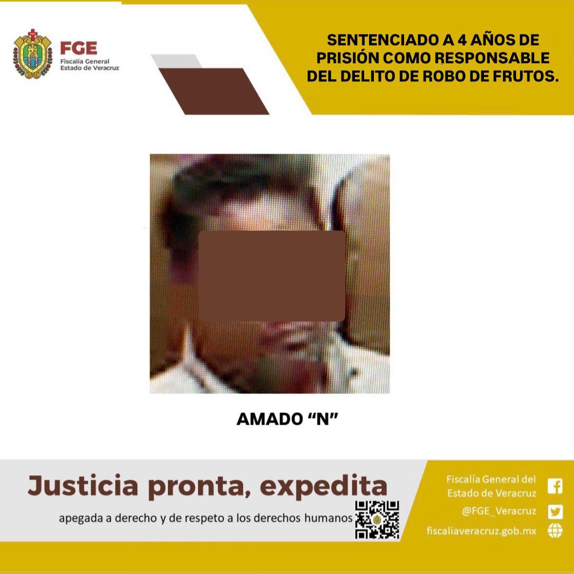 SENTENCIADO A 4 AÑOS DE PRISIÓN COMO RESPONSABLE DEL DELITO DE ROBO DE FRUTOS