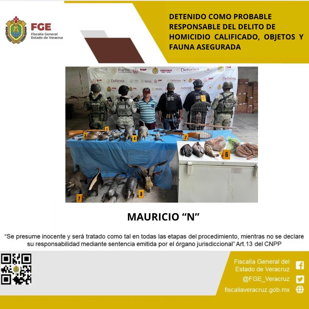 UNA PERSONA DETENIDA EN OPERATIVO DE CATEO CON FUERZAS FEDERALES Y ESTATALES EN TIERRA BLANCA