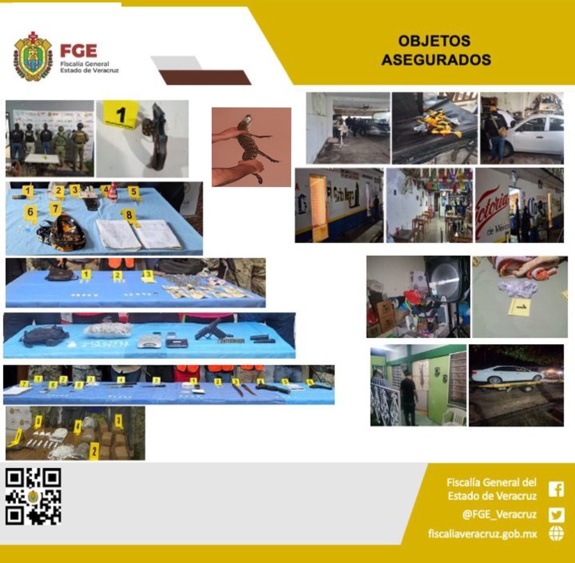FGE INFORMA RESULTADOS DE OPERATIVOS DE CATEO EN COORDINACIÓN CON FUERZAS FEDERALES Y ESTATALES