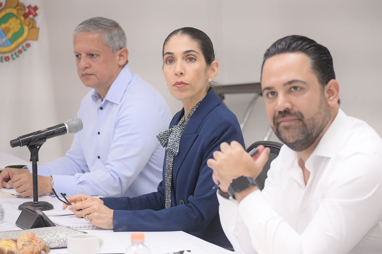 Mesa de Coordinación Estatal de Construcción de Paz y Seguridad